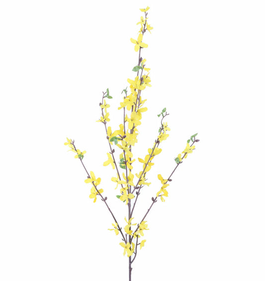 Forsynthia Spray