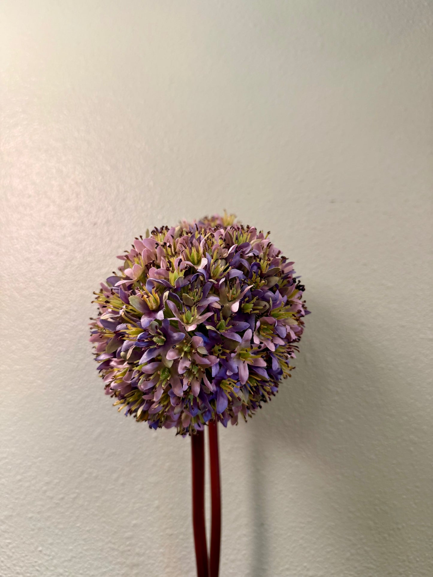 26” Allium Stem