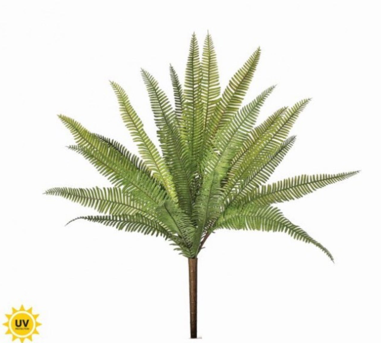 Natural Touch Deer Fern Bush