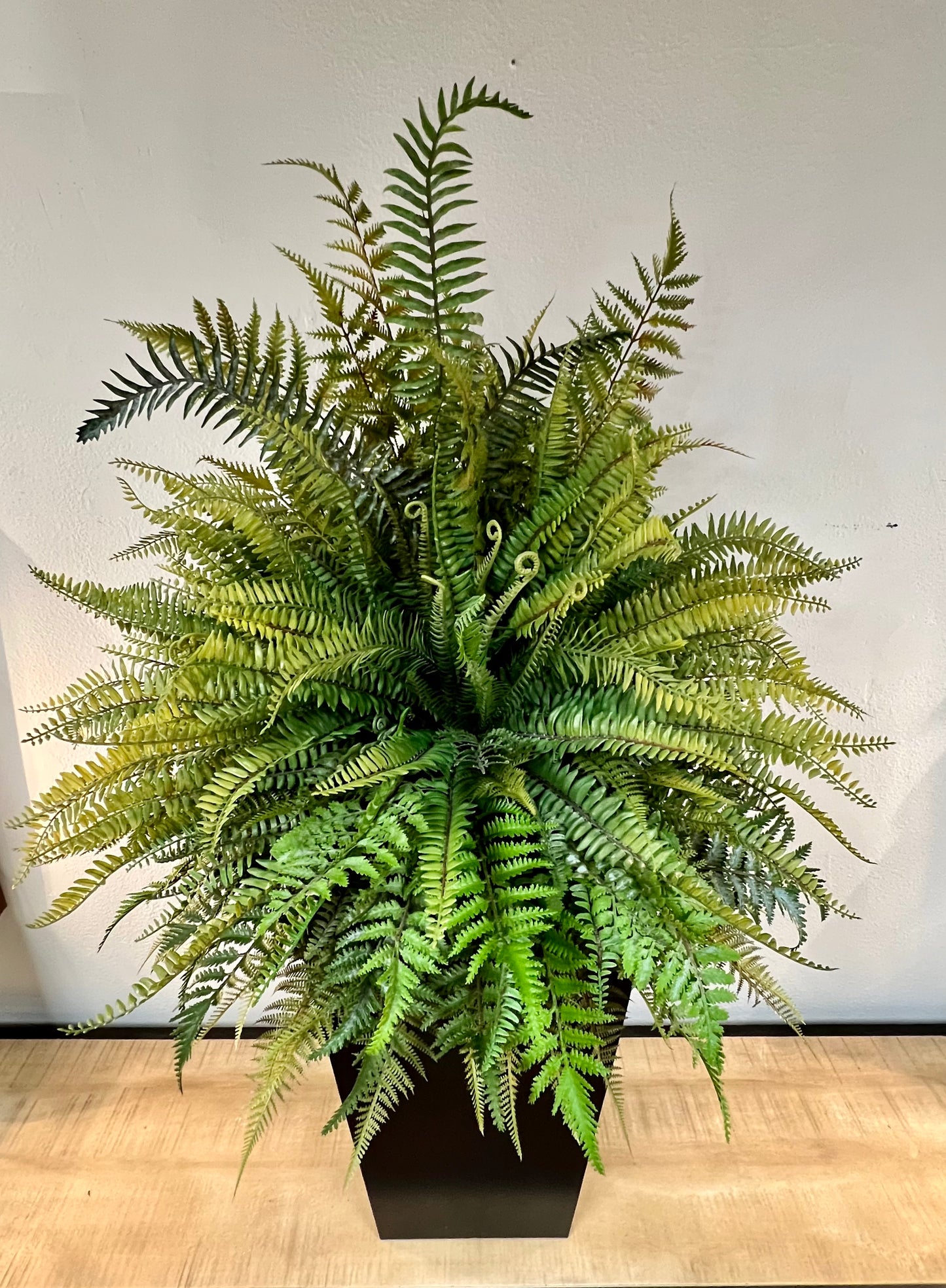 Tall Fern Planter