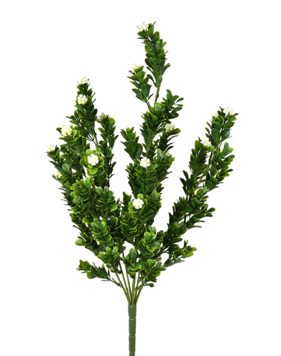 UV Coated Small White Rambling Bush
