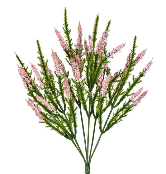 Blazing Star Bush