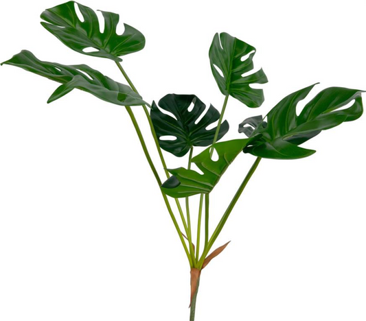 29" Natural Touch Monstera Bouquet