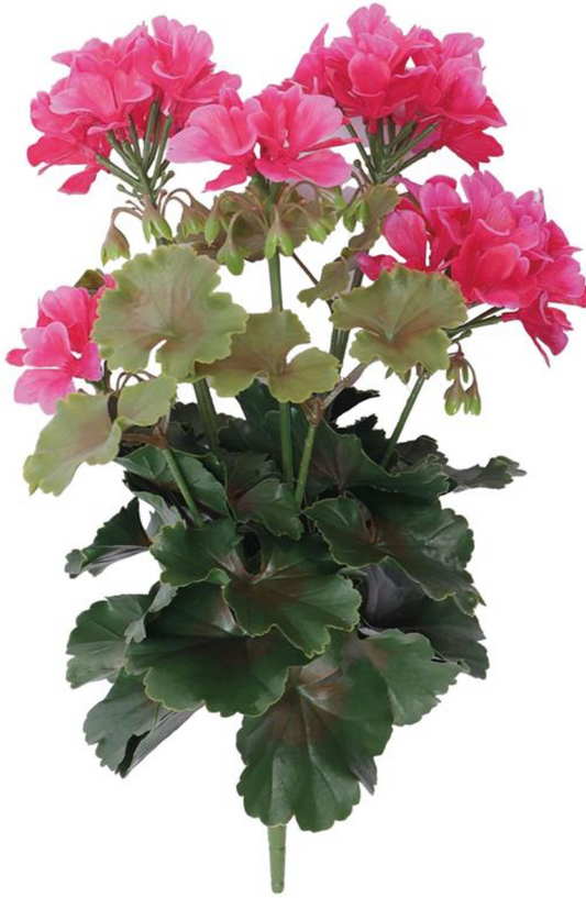 15" UV Geranium Bush w/ 5 Blooms