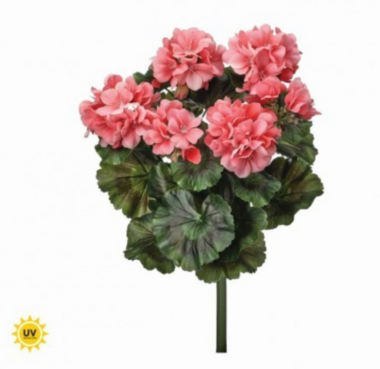 17" UV Summer Geranium Bush