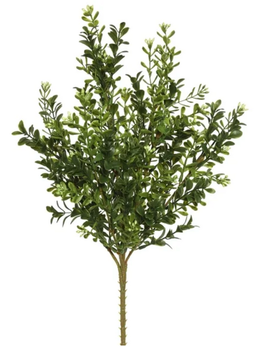 18" Real Touch Summer Boxwood Bush
