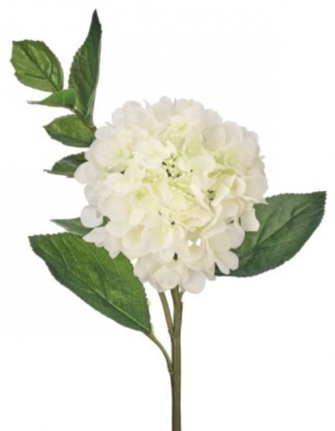 23" WHITE JUST CUT NEW GROWTH HYDRANGEA