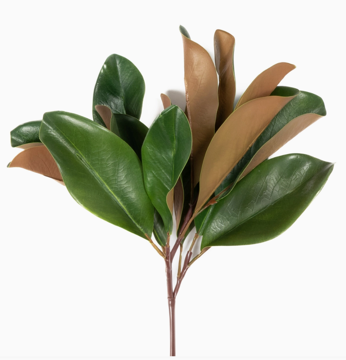16" Magnolia Leaf Spray
