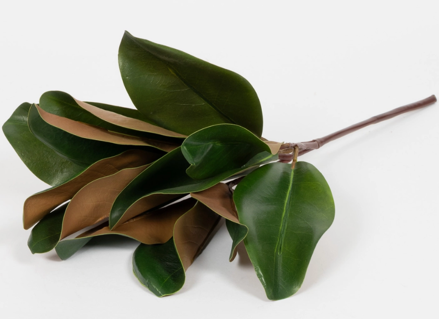 16" Magnolia Leaf Spray