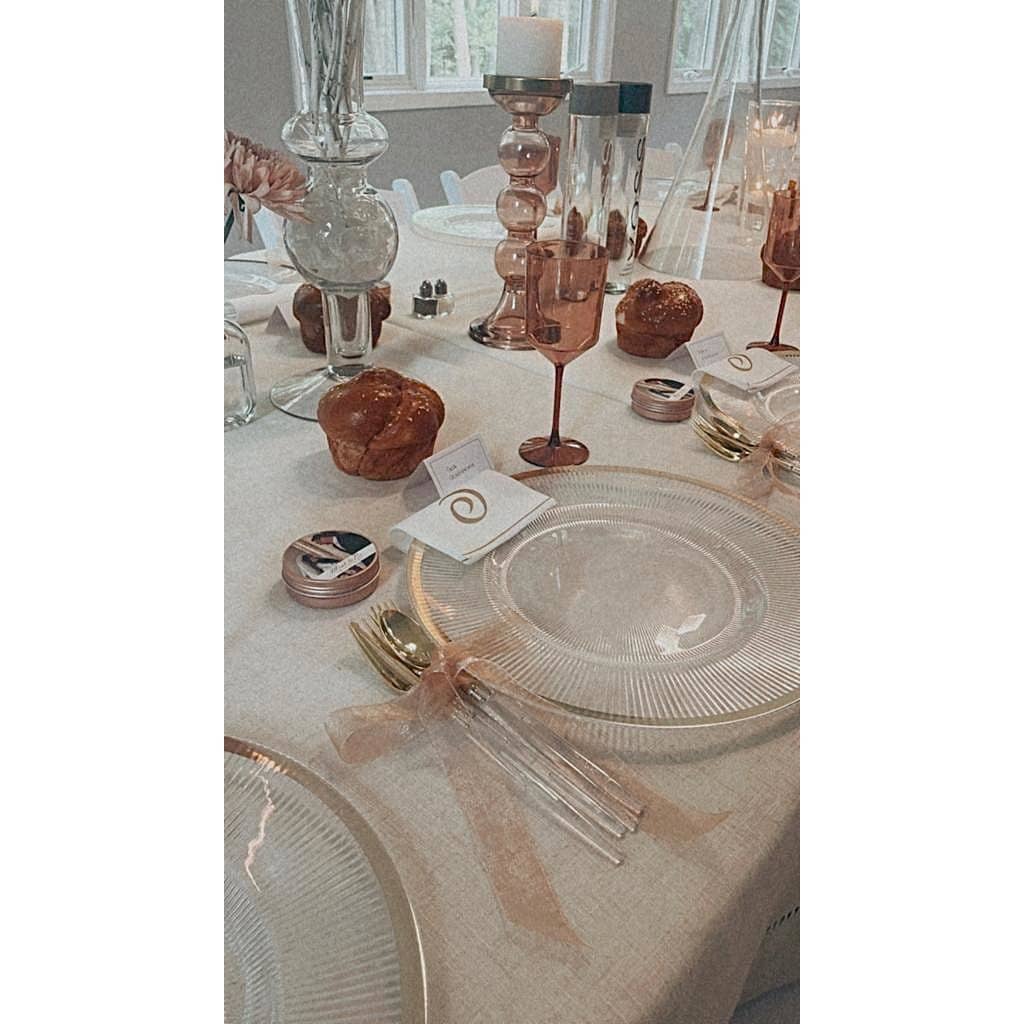 Upscale Transparent Rose Plastic Wine Glasses - 4 Per Set